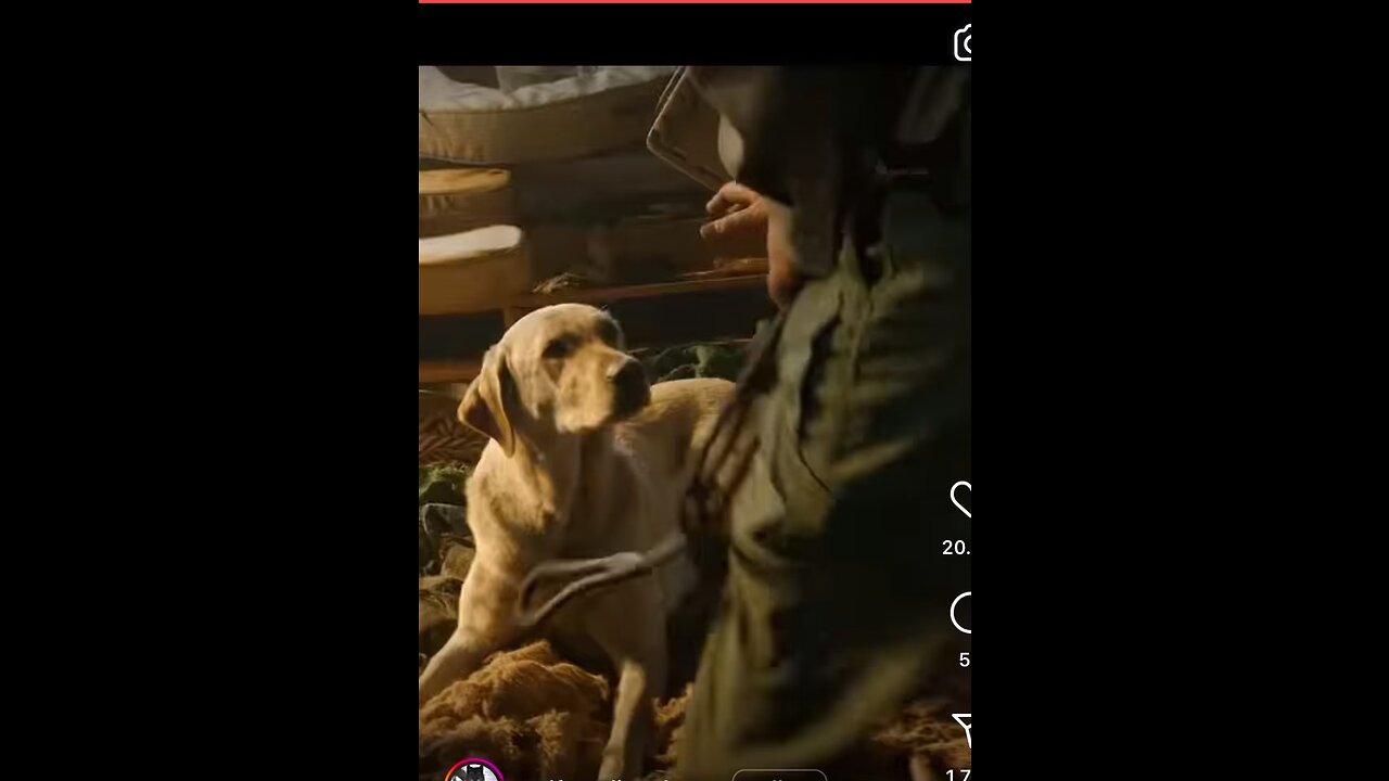 Part 1 dog lover ￼❤️❤️❤️ for part 2 follow me