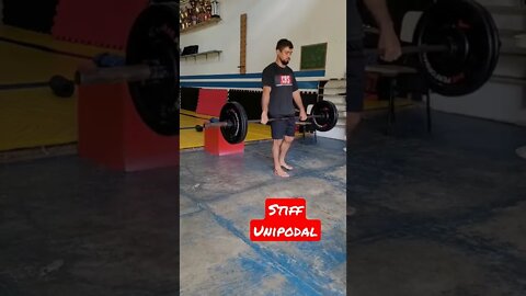 Stiff Unipodal