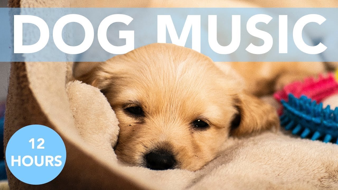 12 hour dog calming music sleep - black screen - with sounds for dogs