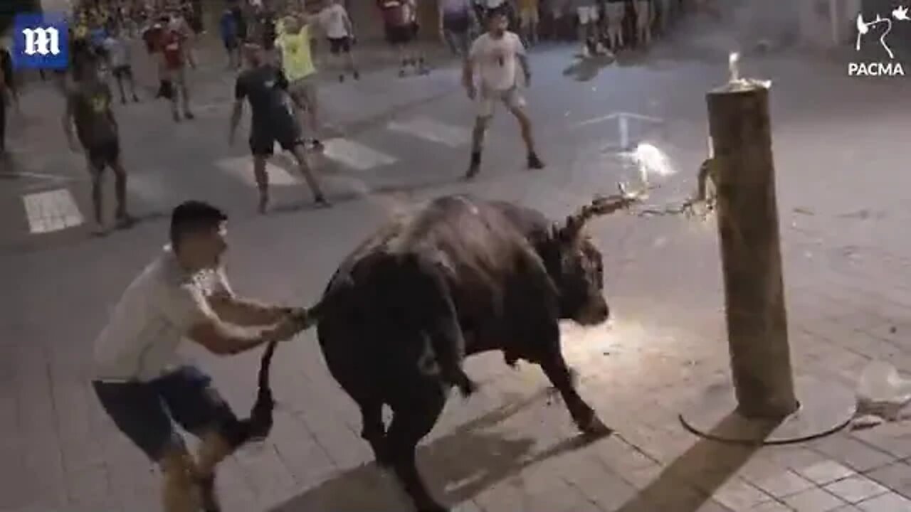 Spaniards attach flaming torches to bull's horns at Spanish festival