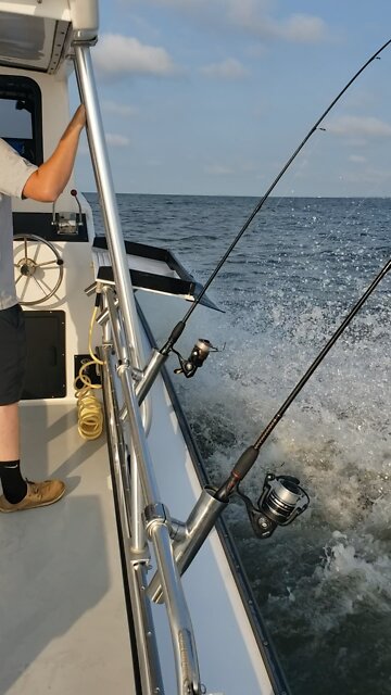 Back on the Chesapeake