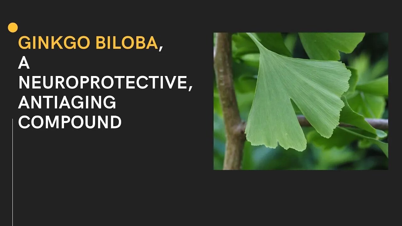 Ginkgo Biloba, a neuroprotective, antiaging compound