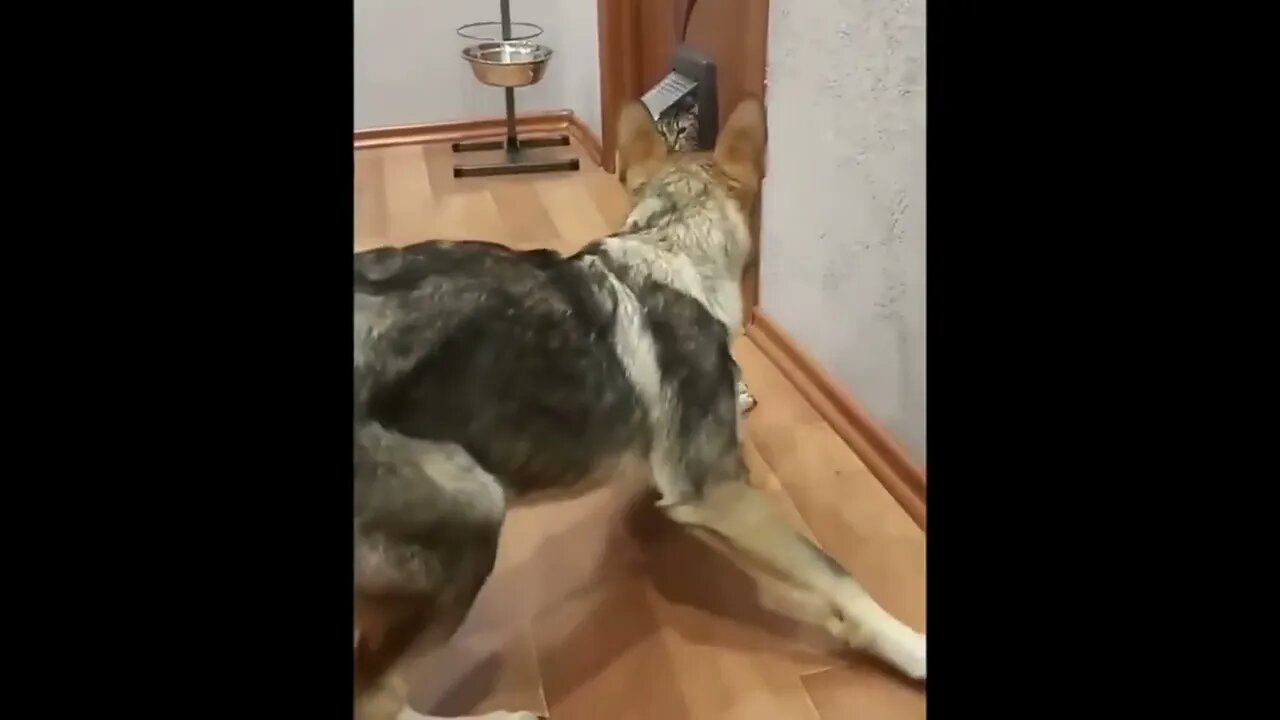 best friend