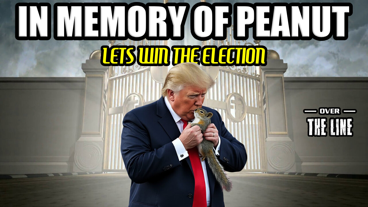 In Memory of Peanut: Let's Win The Election