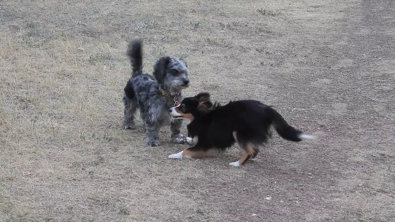 Meanwhile ..... Back In The Real World