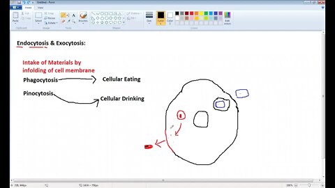Biology 9th Endocytosis & Exocytosis P2