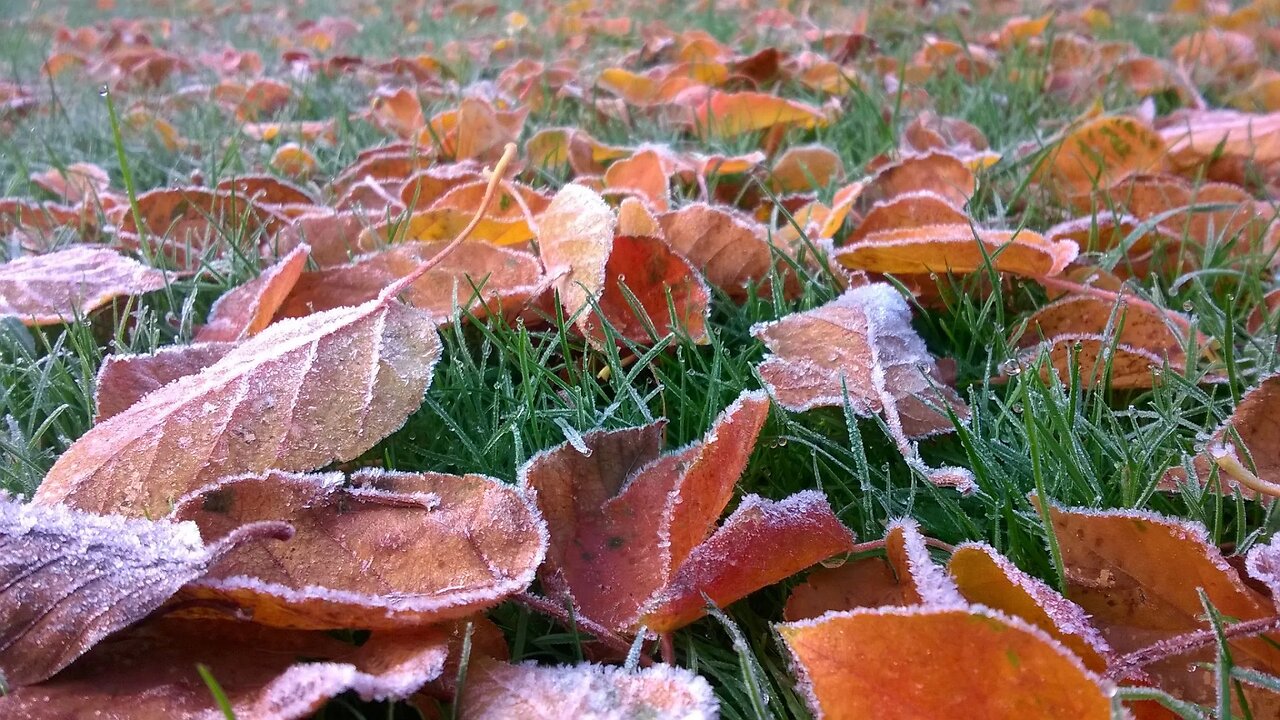 Relaxing Piano Music + "November Autumn Frost" 💦 The Sound of Wind 피아노,마음이 편안해지는 음악,힐링