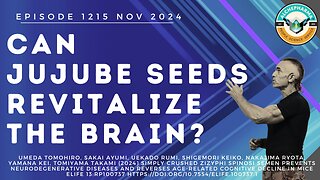 Can jujube seeds help revitalize the brain? Ep. 1215 NOV 2024