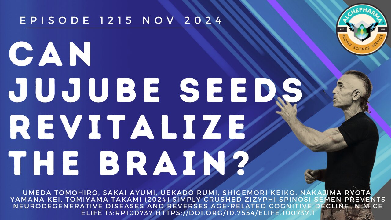 Can jujube seeds help revitalize the brain? Ep. 1215 NOV 2024