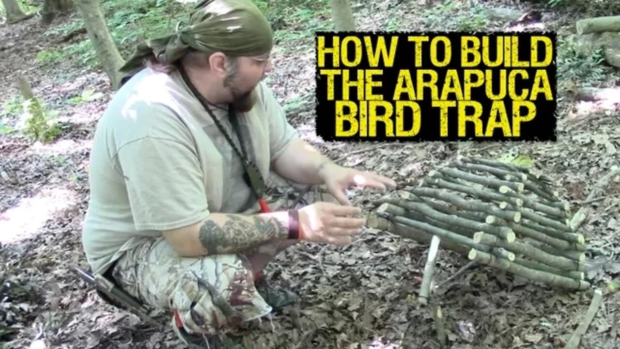 How To Build A Arapuca Bird Trap -Mantis Outdoors