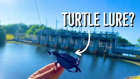 This is the CRAZIEST Soft-Plastic LURE I OWN! 😳