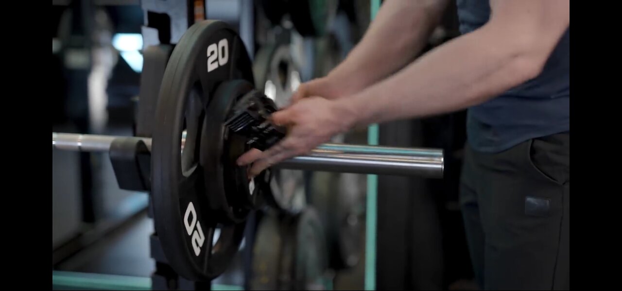 Workout Fitness budybuilding