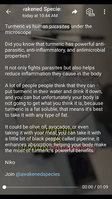 Documentary: Human Parasites versus Tumeric