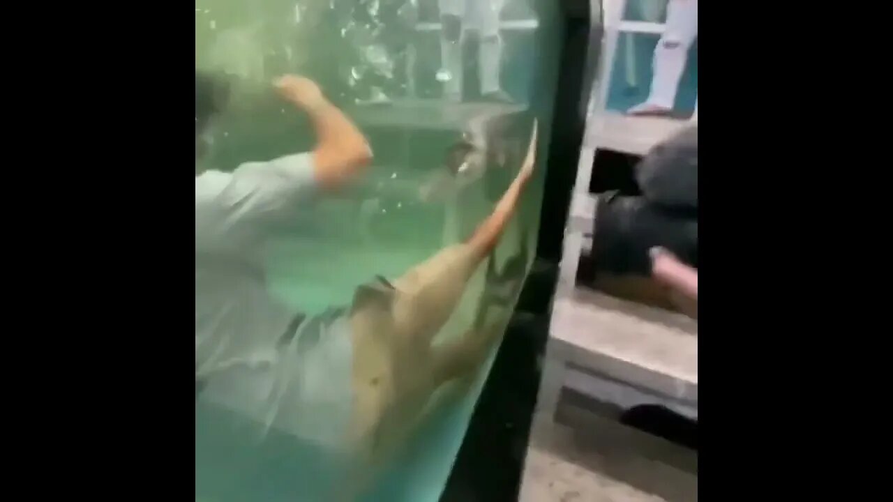 POR FAVOR INSCREVA ME AJUDA - PLEASE SUBSCRIBE HELP ME