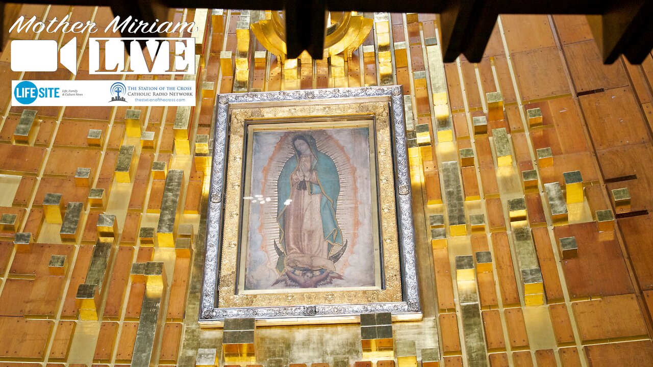 Difficult moments call for prayers to Our Lady of Guadalupe