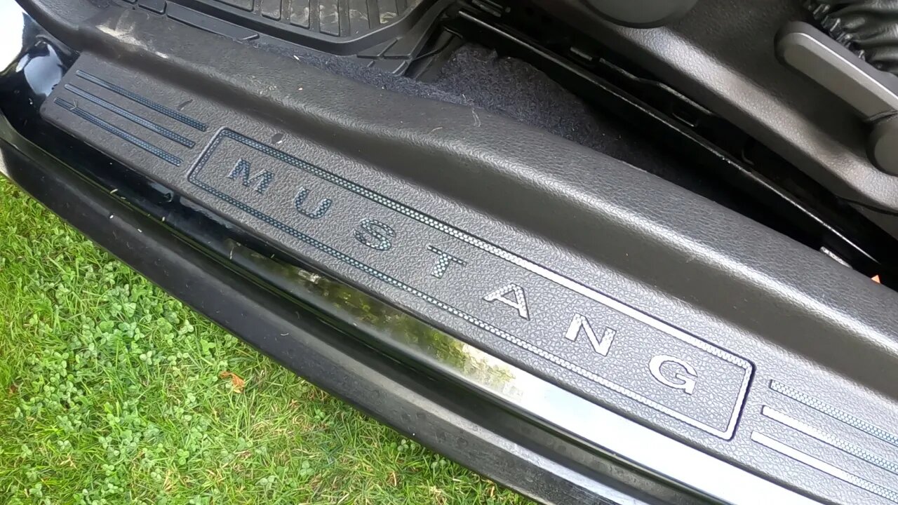 Mustang door trim overlay.