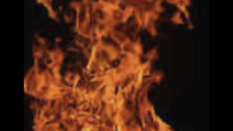 I am on FIRE with Eden’s Living ALICIA KEY