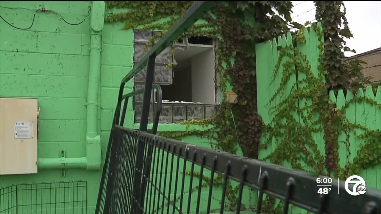 Detroit Dog Rescue's shelter on city's east side targeted by intruders who may have been after the dogs