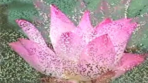 SƯ GIÁC KHANG GIẢNG NGƯỜI TU TỊNH ĐỘ CẦN BIẾT TẠI CHÙA THANH QUANG P2