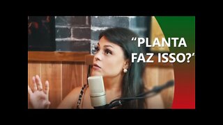 BRUNA LOUISE SOBRE NEGO DI | PODIHHCAST EP#47