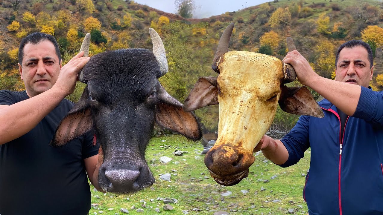 GREAT BISON HEAD SOUP RECIPE | TRADITIONAL DELICIOUS DISH OF SOUP KHASH FROM THE COW HEAD