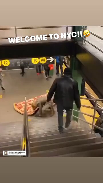 Funny videos lol 😂 😝 😆