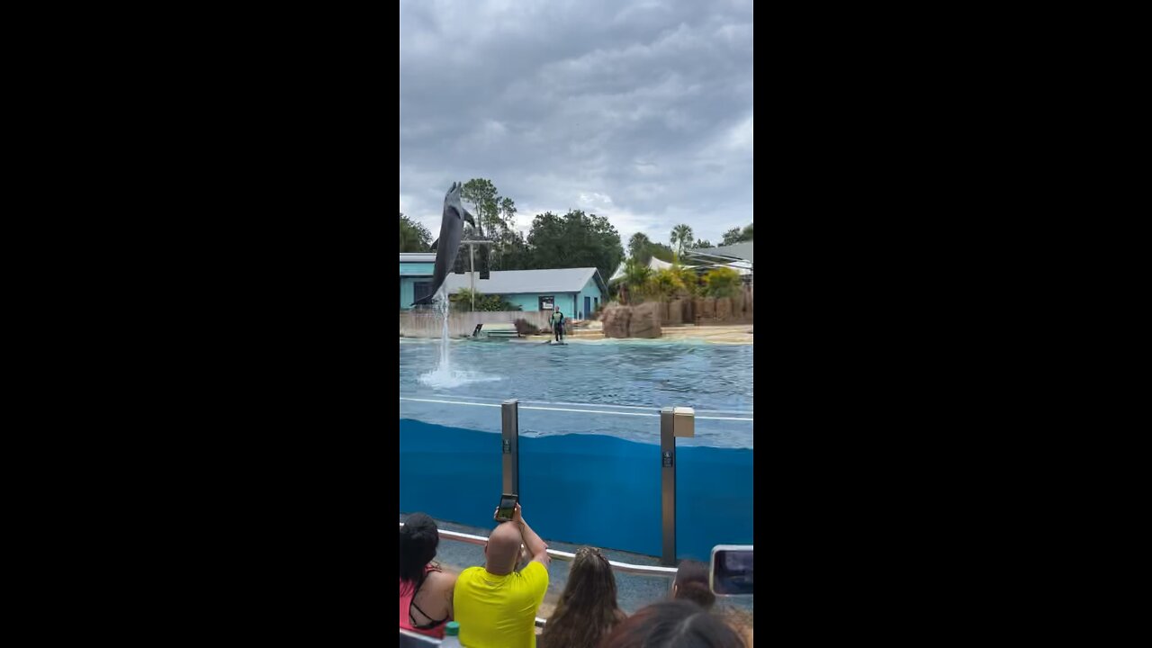 Sea World