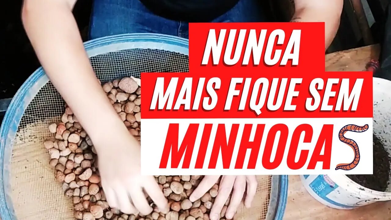 COMO CRIAR MINHOCAS - Tenha iscas o ano todo! | Minhocas Belo Horizonte