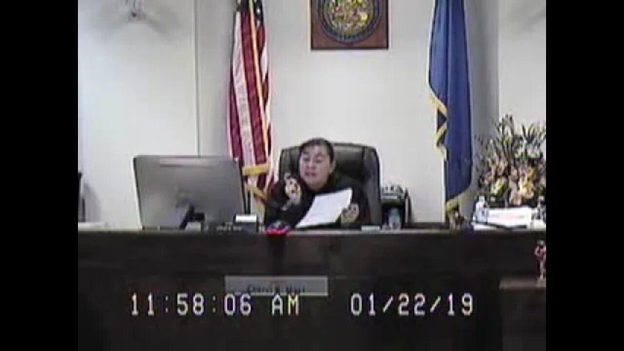 Rodriguez & Turner matter before Cheryl Moss Family Court Judge Clark County 1/22/19