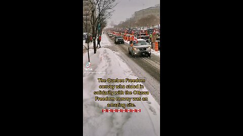 The Quebec Freedom convoy who stood in solidarity with the Ottawa Freedom convoy was an amazing site