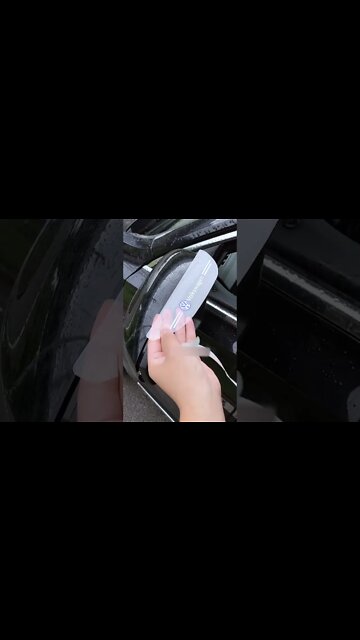 Volkswagen side glass protector