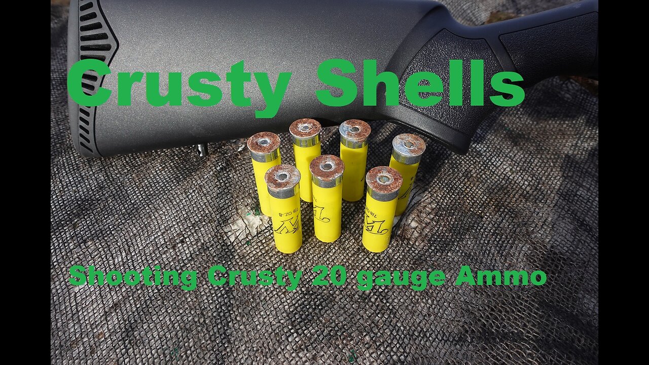 Krusty Shotgun Shells, will they shoot?