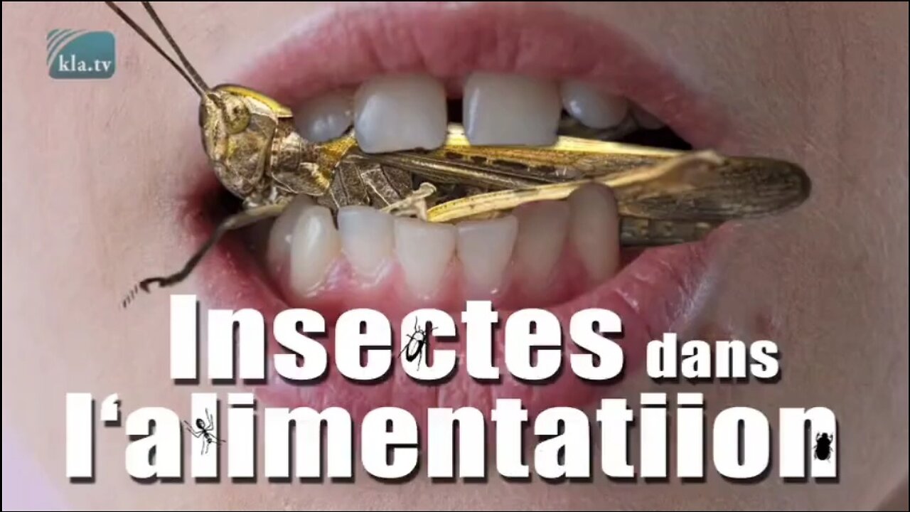 Dégoûtant – Le dossier " Insectes 🦗🕷 dans l'alimentation "🥪🍔🍕 ❓❗️