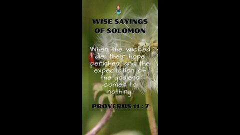 Proverbs 11:7 | Wise Sayings of Solomon