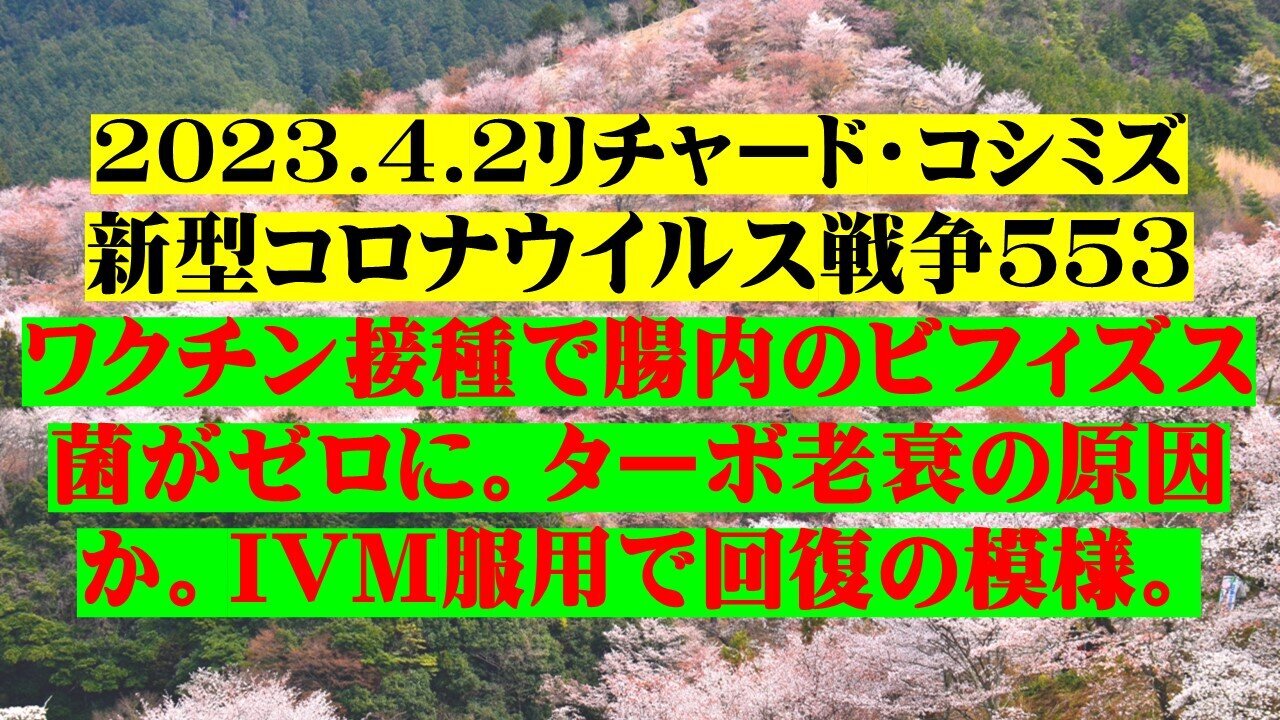 2023.04.02 リチャード・コシミズ新型コロナウイルス戦争553