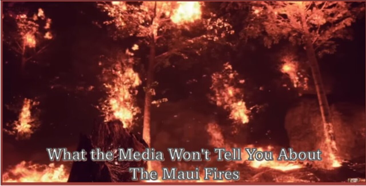 O QUE A MÍDIA NÃO CONTA SOBRE OS INCÊNDIOS DE MAUÍ - HAVAÍ