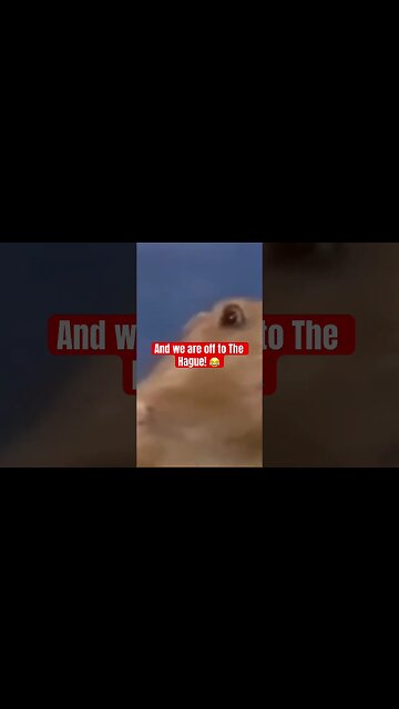 These Corporate Fictions Are Getting Out Of Hand!😂 #court #peoplescourt #funny #judge #sovcits