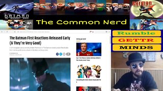 Batman Reviews Get Released Early Without Permission