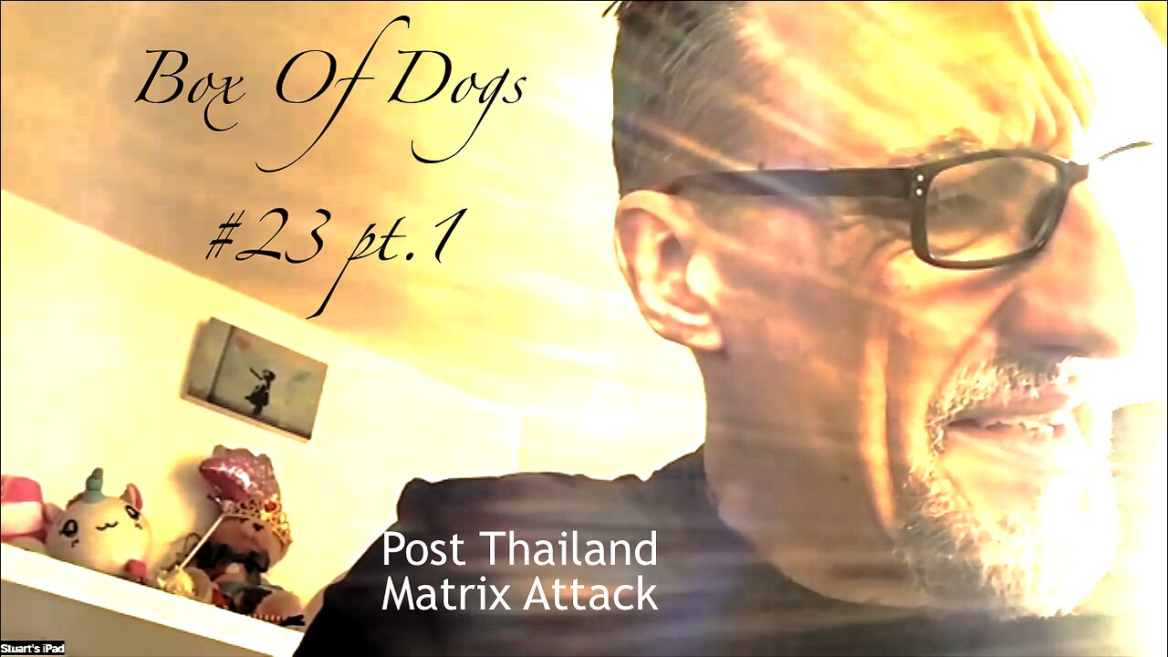 BoxOfDogs#23 STEVE HUGHES - Post Thailand Matrix Attack PART 1