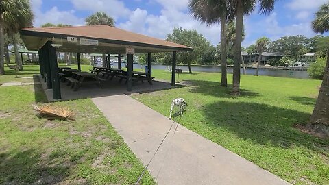 Luna at Ballard Park, Melbourne Florida making friends of the birds