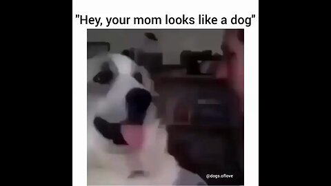 Abusing Dog