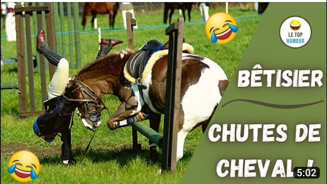 Chute de cheval essayer de ne pas rire 2023 🤣🤣