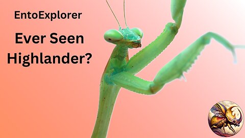 Introduction to Insect Morphology - Part 5 - The Insect Head
