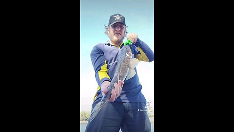 Big flathead