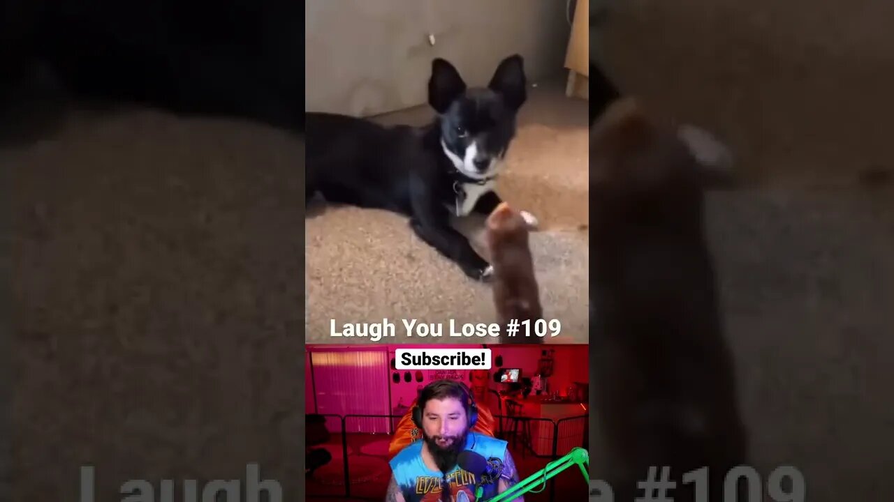 Laugh You Lose Challenge #109