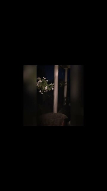 The Sprite Challenge! #sprite #shorts