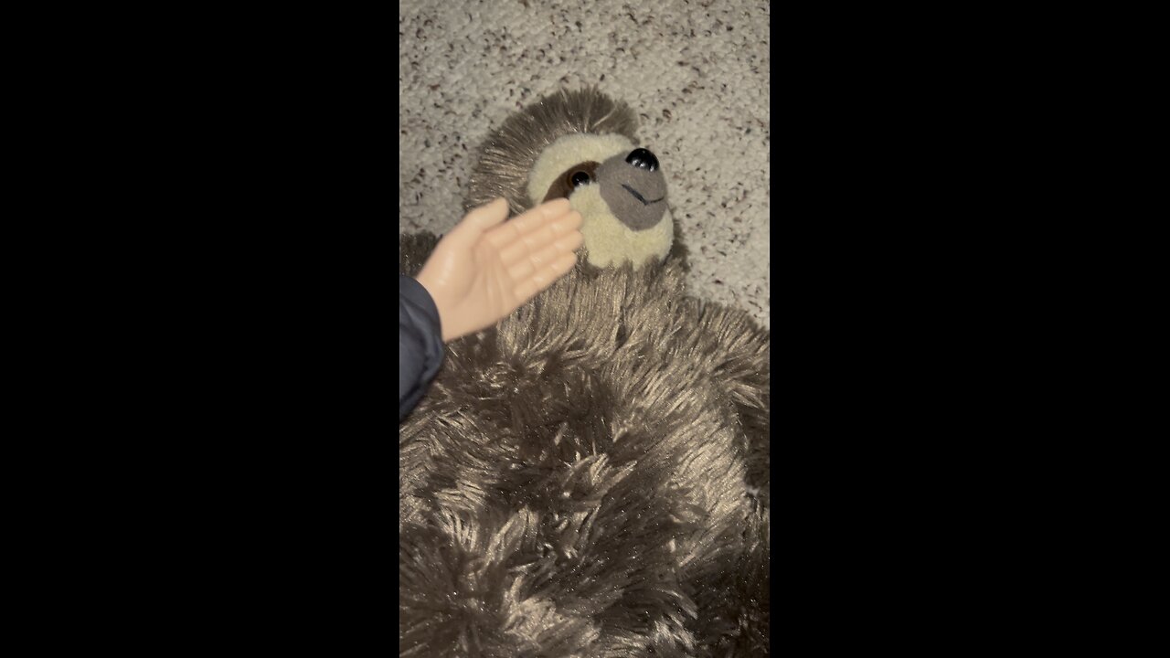 Wednesday whiskers with SPH. Real animals were being pricks so I present a stuffed sloth! #funny