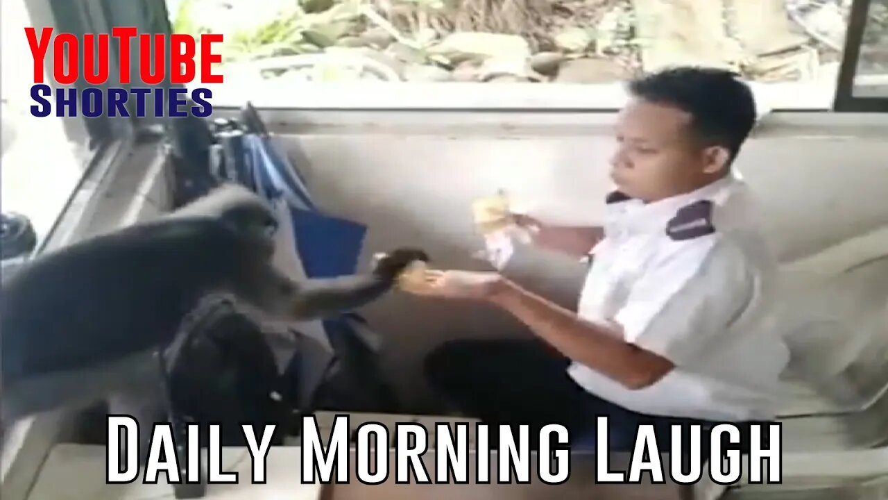 Funny Morning Laugh - 30 Seconds to Start Your Day Right #shorts