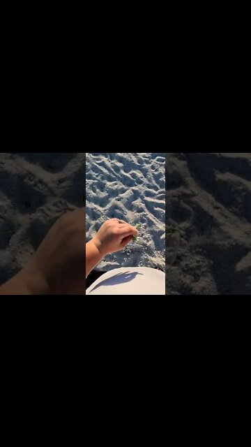 Metal Detecting Found the Sticky Stuff #shorts