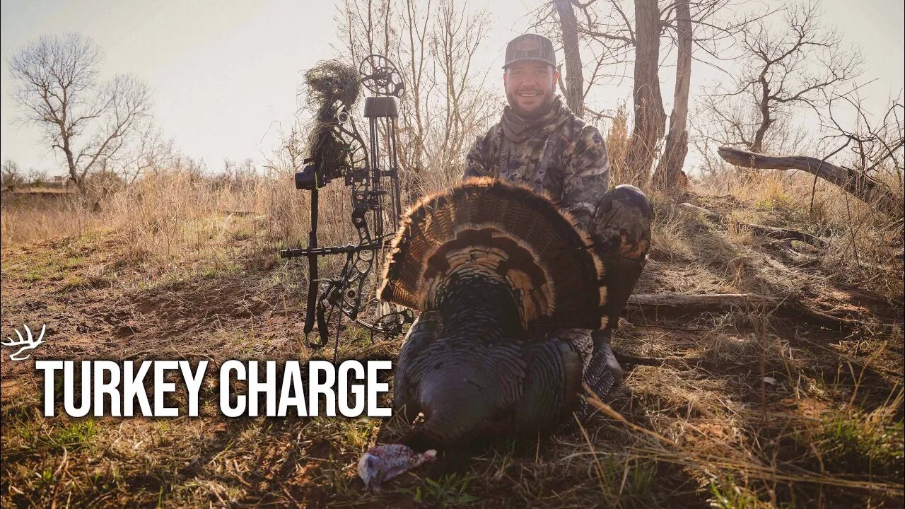 MAD TX Gobblers Charge in To FIGHT!